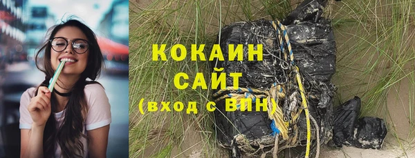 кокс Арсеньев