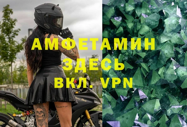трава Аркадак