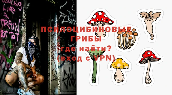 кокс Арсеньев