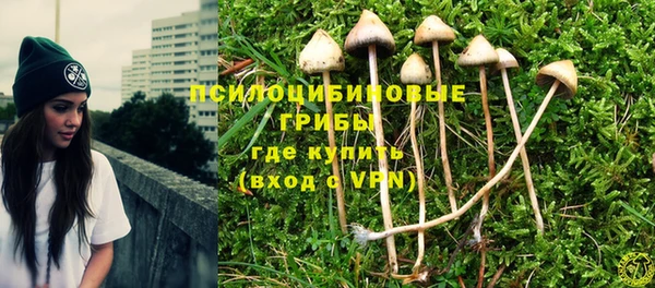 кокс Арсеньев