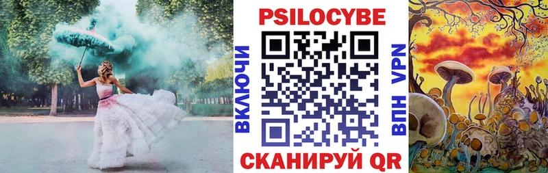 Псилоцибиновые грибы MAGIC MUSHROOMS  хочу наркоту  Сальск 